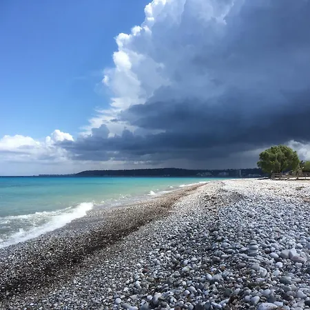 Complex Blue Horizon