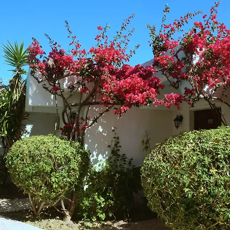 Blue Horizon Complex