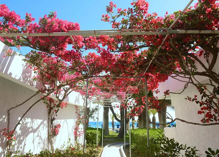 Blue Horizon Resort 4*