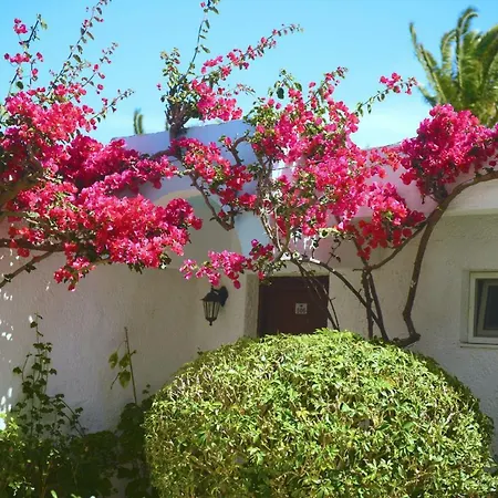 Blue Horizon Ialysos (Rhodes)