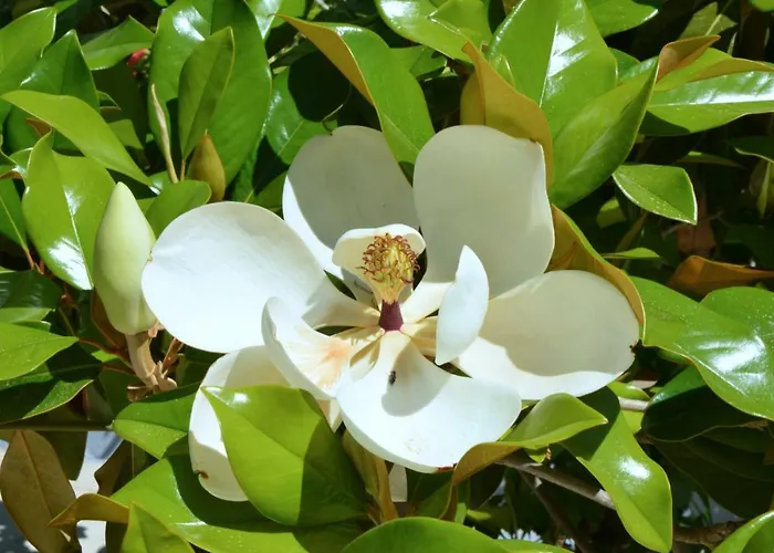 Blue Horizon Ośrodek wypoczynkowy